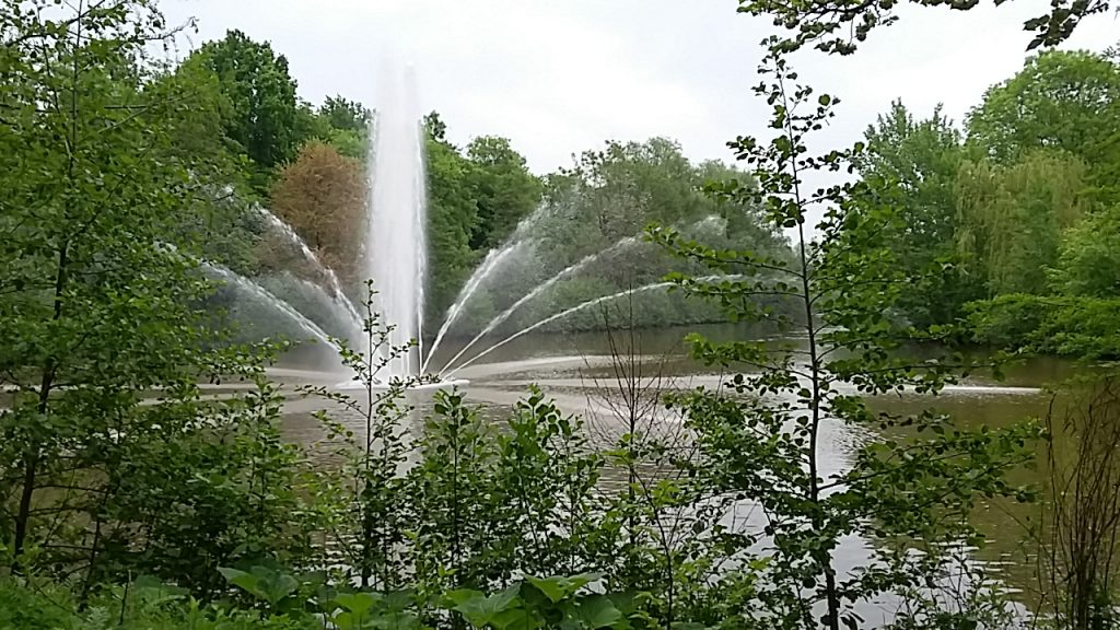 Eine Wasserfontäne auf dem Vahrersee im Sommer